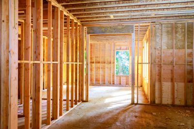 Carpenters and Framing Experts